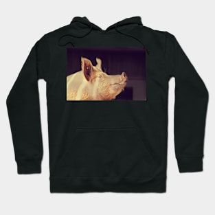 The Smiling Pig Hoodie